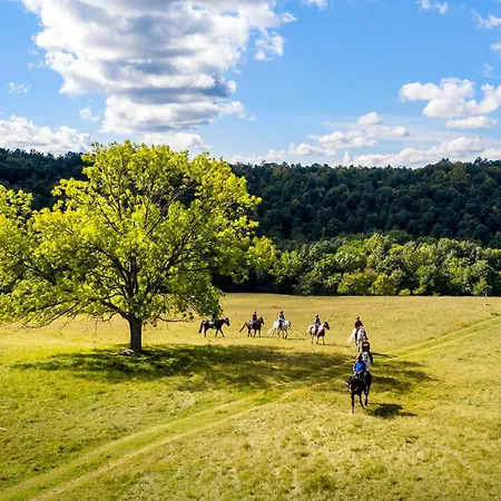 公寓 Green Village House *