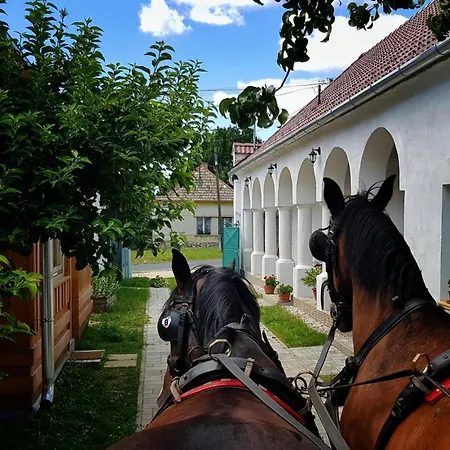 Green Village House 公寓