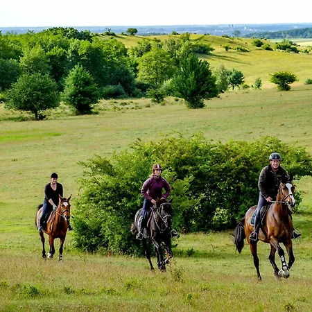 Green Village House Ganna